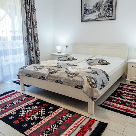 Casa Alexandru - Locul In Care Te Simti Acasa Hotel Viseu de Jos Ngoại thất bức ảnh