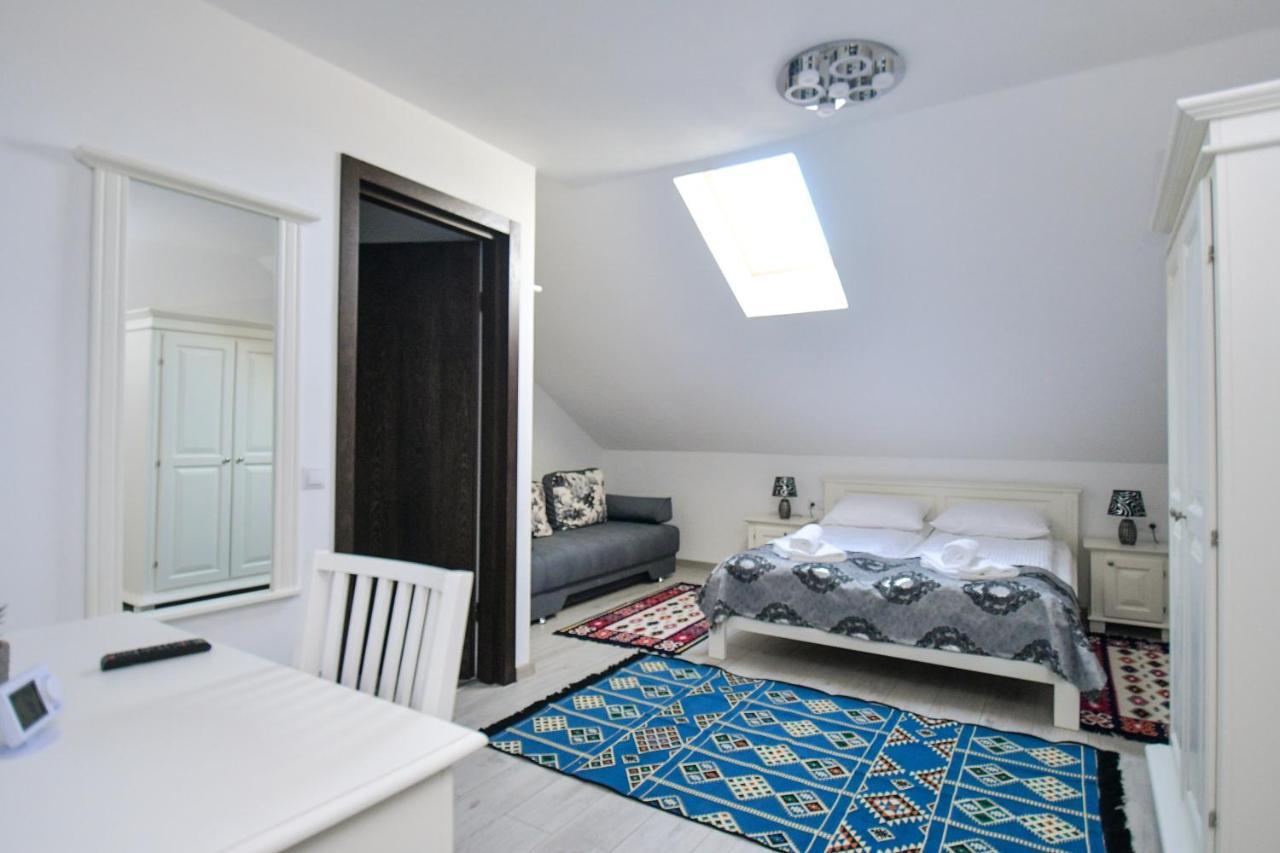 Casa Alexandru - Locul In Care Te Simti Acasa Hotel Viseu de Jos Ngoại thất bức ảnh