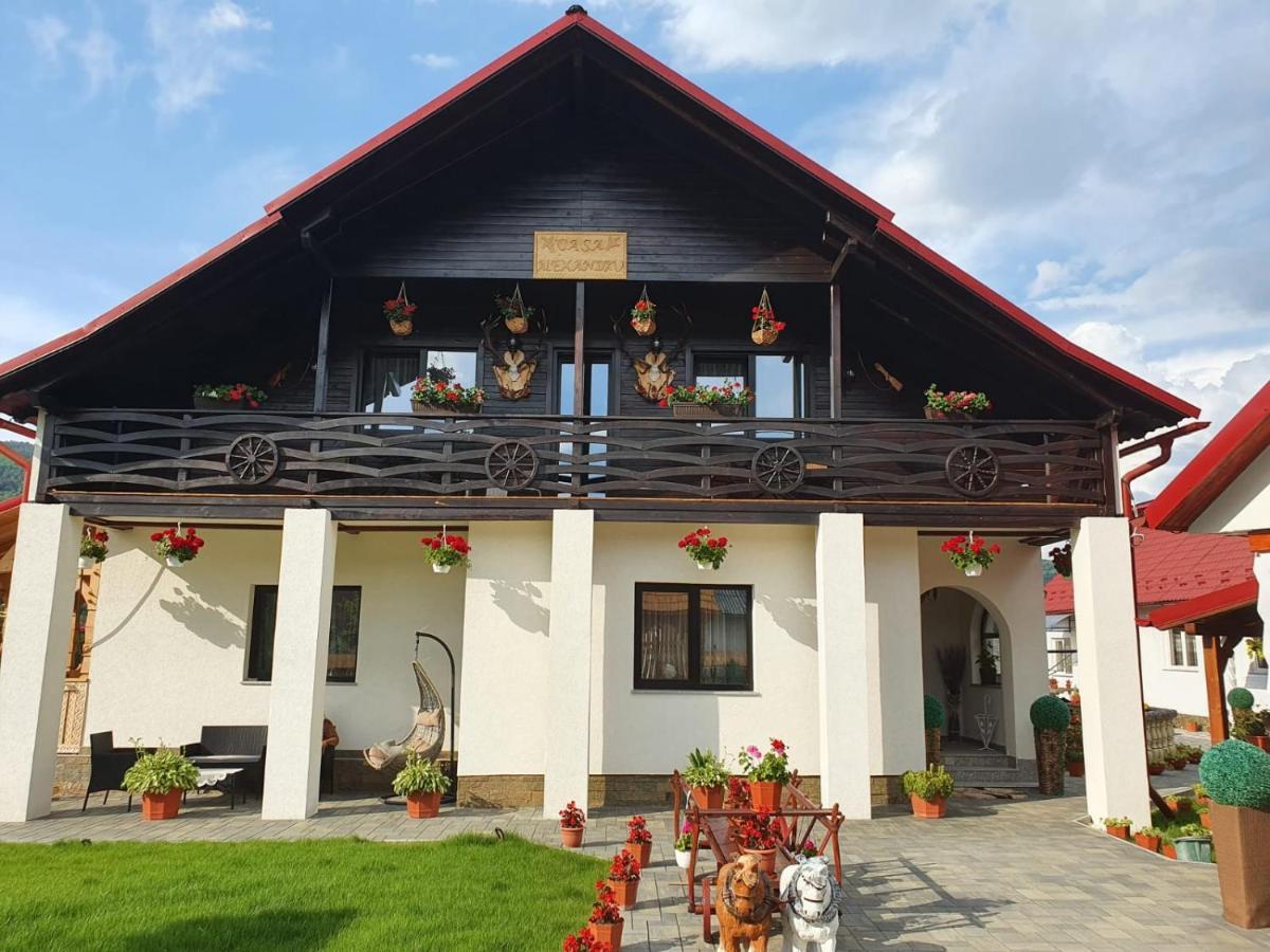 Casa Alexandru - Locul In Care Te Simti Acasa Hotel Viseu de Jos Ngoại thất bức ảnh