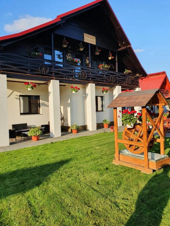 Casa Alexandru - Locul In Care Te Simti Acasa Hotel Viseu de Jos Ngoại thất bức ảnh
