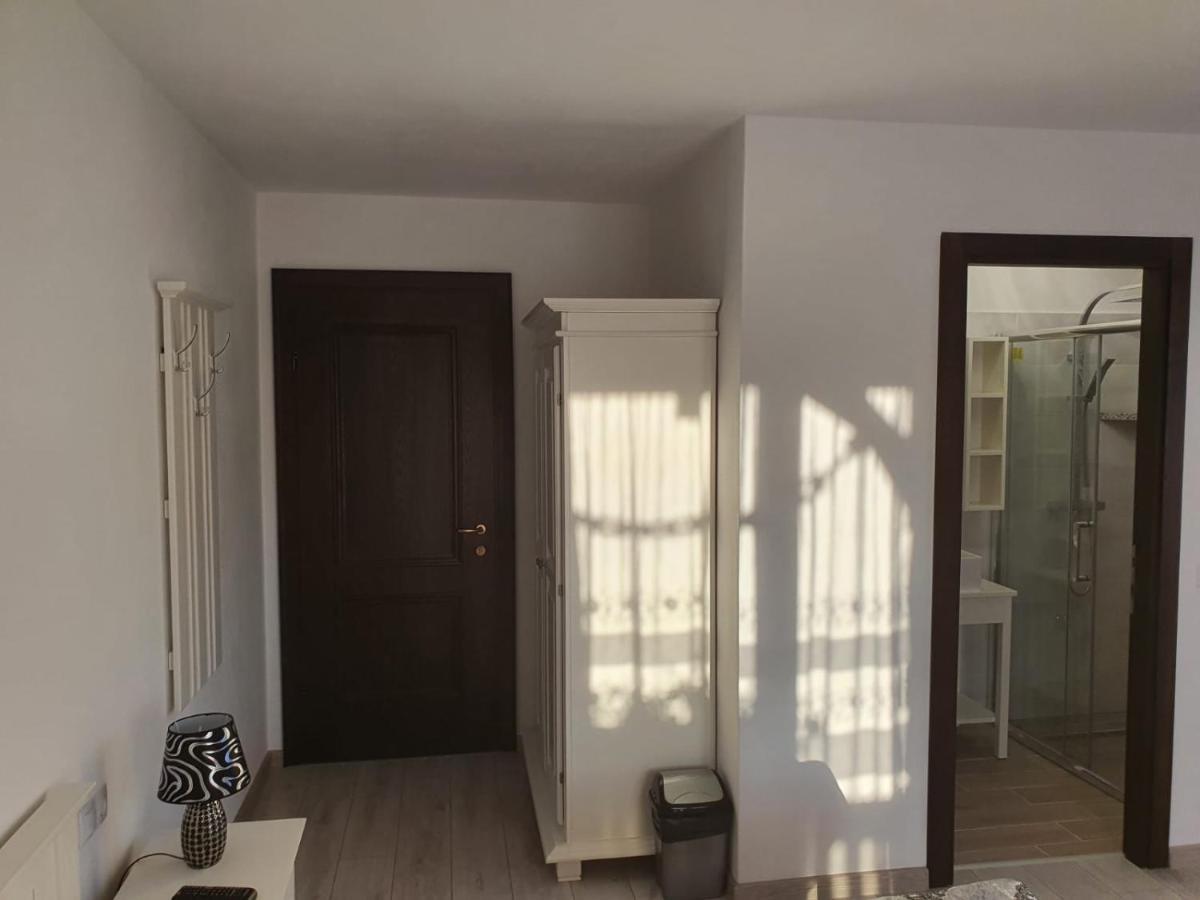 Casa Alexandru - Locul In Care Te Simti Acasa Hotel Viseu de Jos Ngoại thất bức ảnh