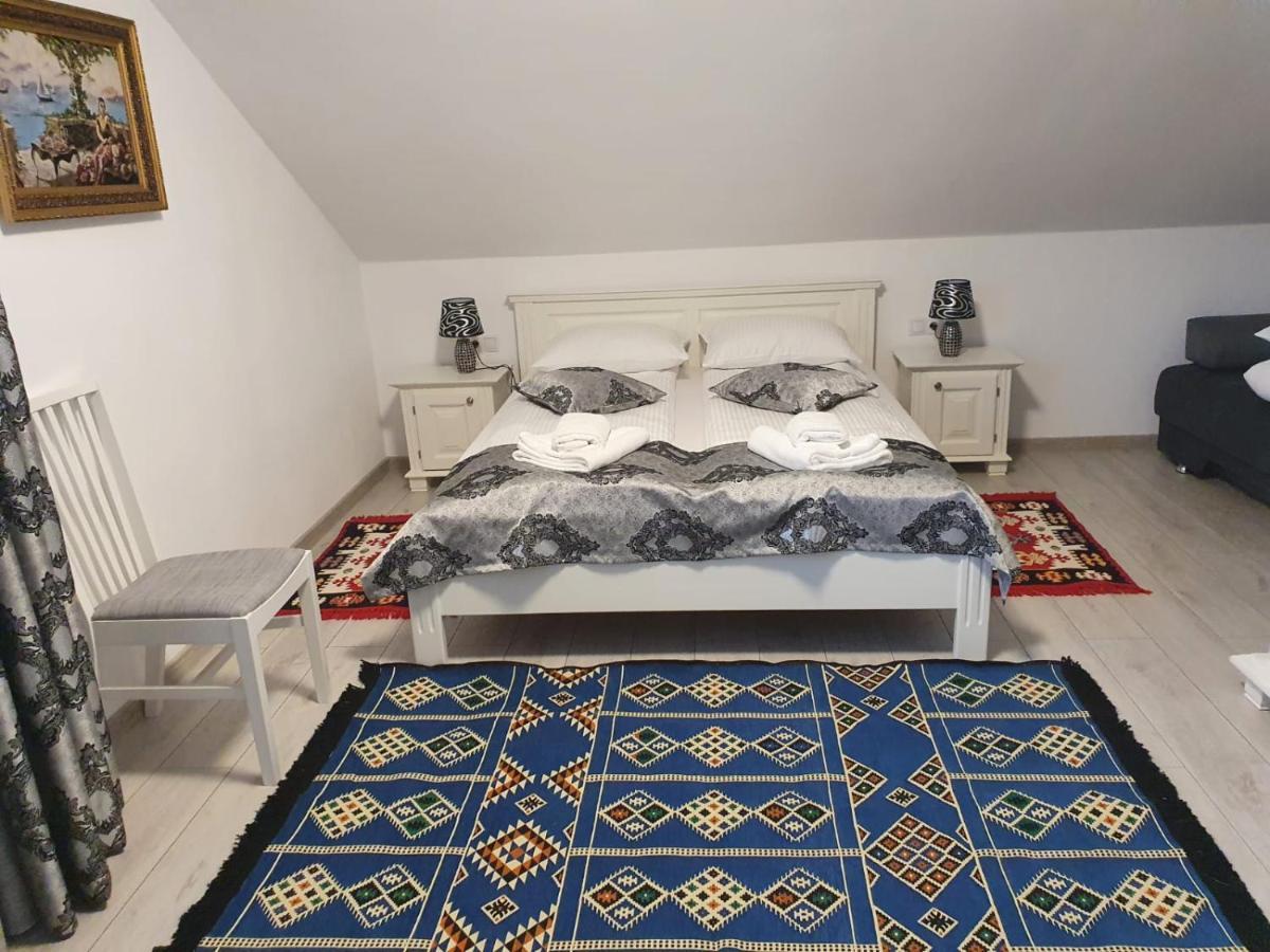 Casa Alexandru - Locul In Care Te Simti Acasa Hotel Viseu de Jos Ngoại thất bức ảnh