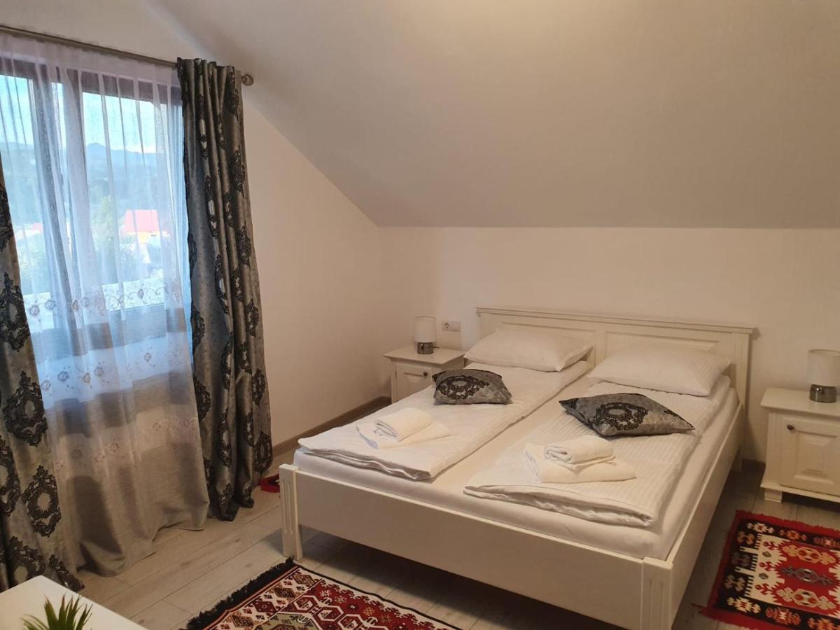 Casa Alexandru - Locul In Care Te Simti Acasa Hotel Viseu de Jos Ngoại thất bức ảnh